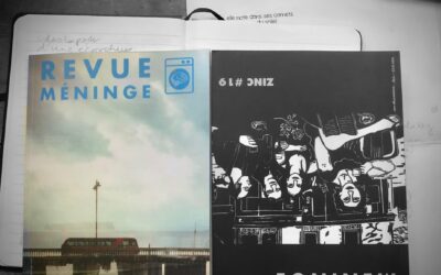 Revue méninge #19 – Zinc