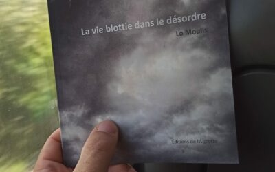 La vie blottie dans le désordre en chemin