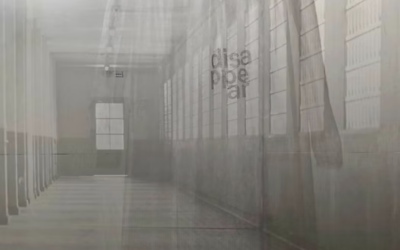 La vie blottie dans le désordre, réédition – Juillet 2024