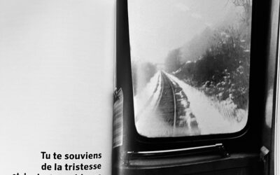 Revue Pourtant – 04 2024 – Fenêtres
